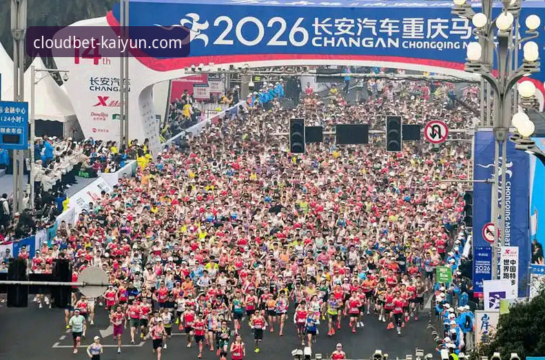 2026kaiyun娱乐平台实用指南：从赛事数据分析到投注策略的必备知识